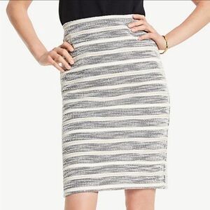 Ann Taylor skirt